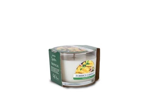 Vela Aromática Forbici Candle Manga e Maracujá Roxo 98g