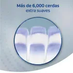 7891024019610-06.webp