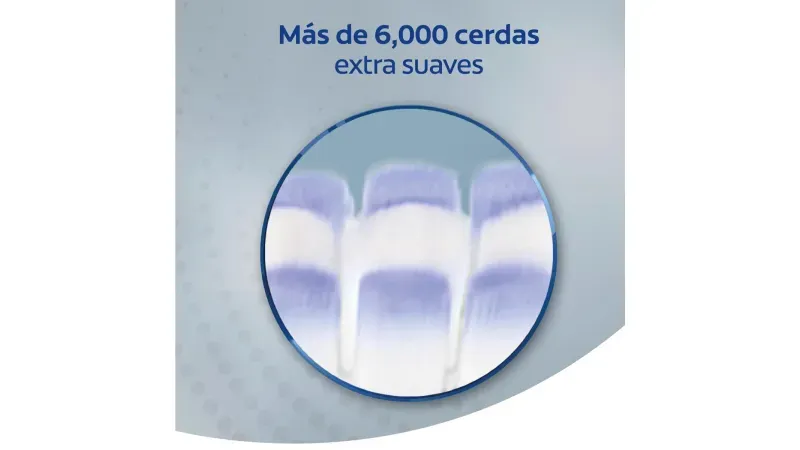 7891024019610-06.webp